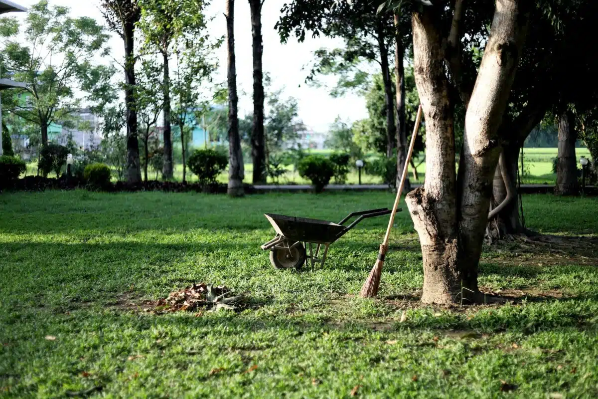 jardin